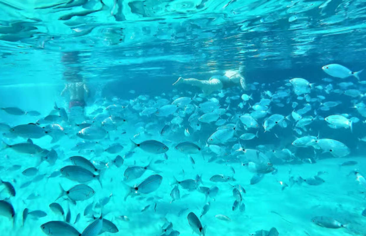 Ibiza snorkeling and SUP paddle tour with beach stops and sea cave exploration